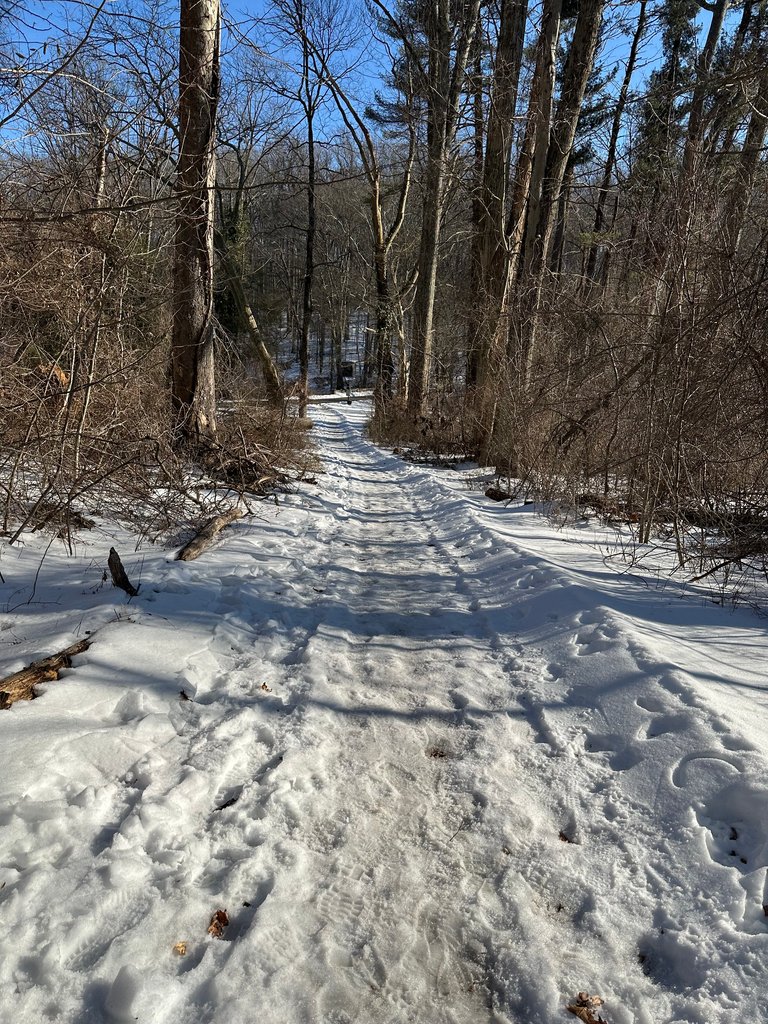 IMG_8036.jpeg