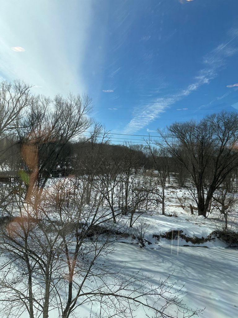 IMG_8009.jpeg