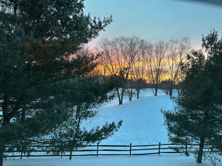 IMG_8019.jpeg