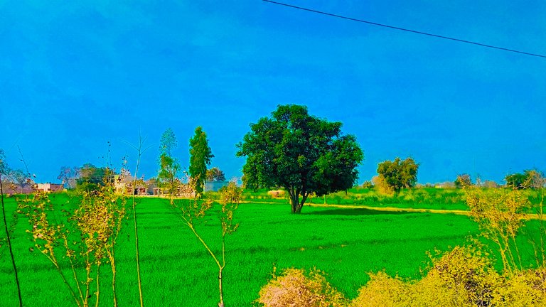 Today morning my photography 