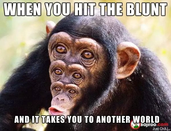 ft7auq.jpg
