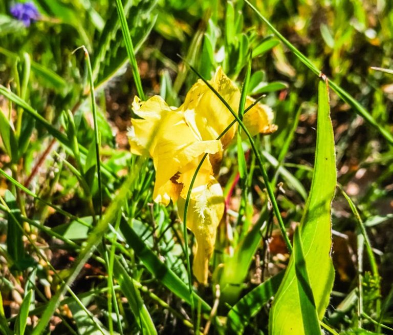 5a669d64bx.jpg