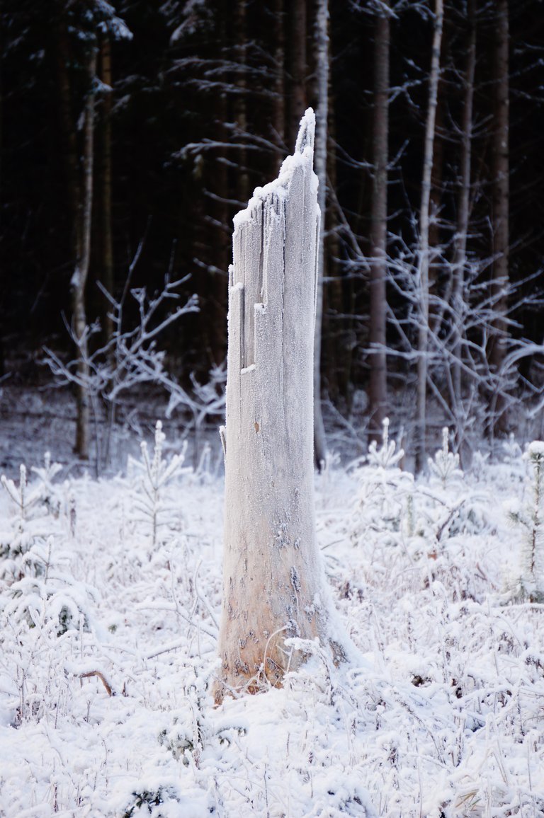 r30549ywgj.jpg