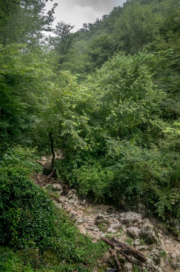 _DSC0378.jpg