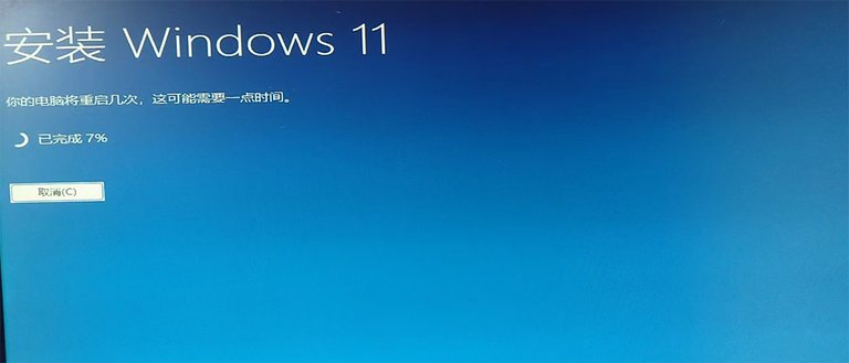 w10.jpg