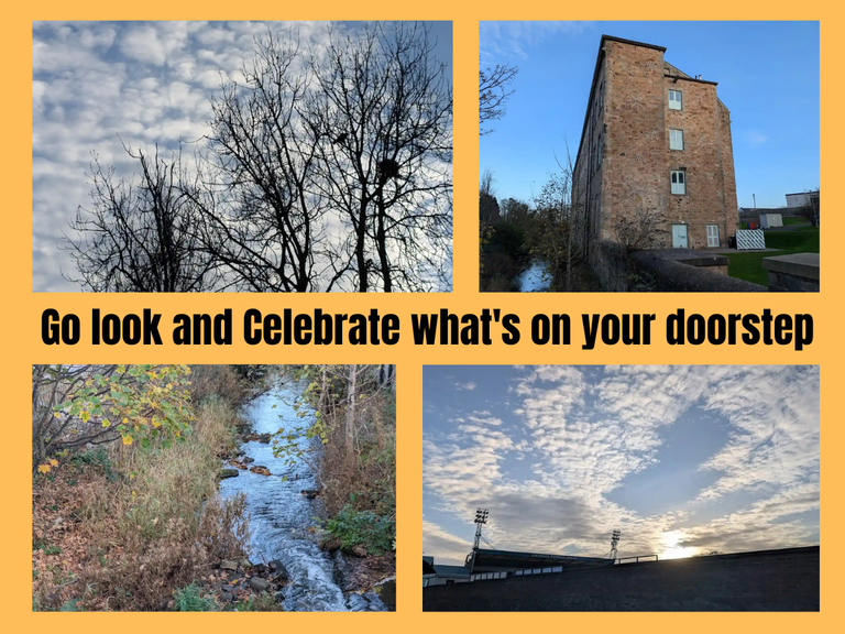 Go look and Celebrate what's on your doorstep 