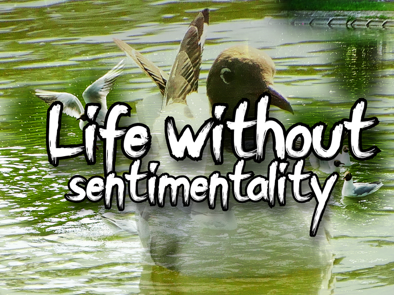 Life without sentimentality.