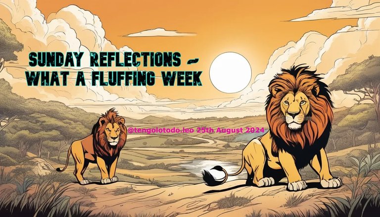 Sunday reflections ~ What a fluffing week