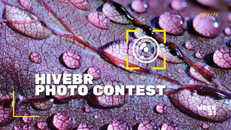 HiveBR Photo Contest: Macro