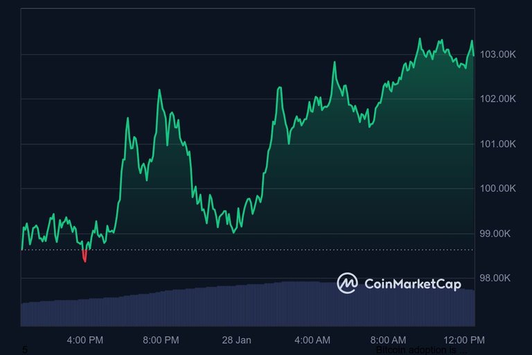 Bitcoin Bouncing Back