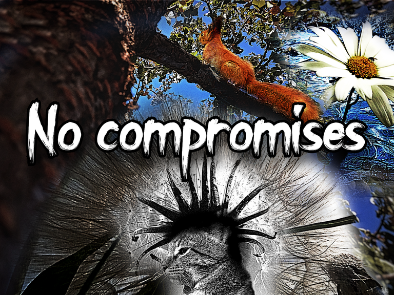 No compromises.