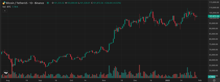 Has January Been How You Thought It Would Be at the Beggining of the Year in Crypto?