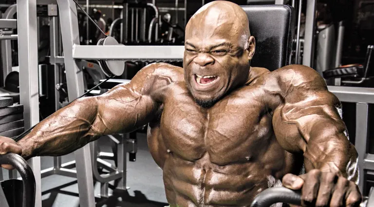 Hypertrophy Workout Tutorial