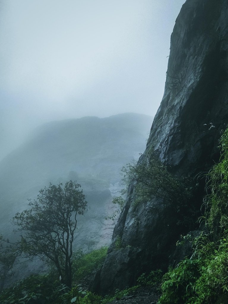 The Monsoon 