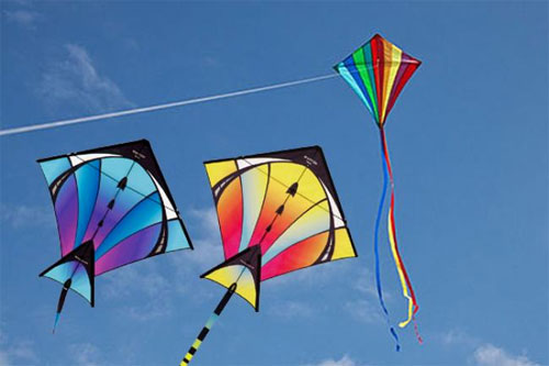 Independence Day,  Kites,  and a safety reminder
