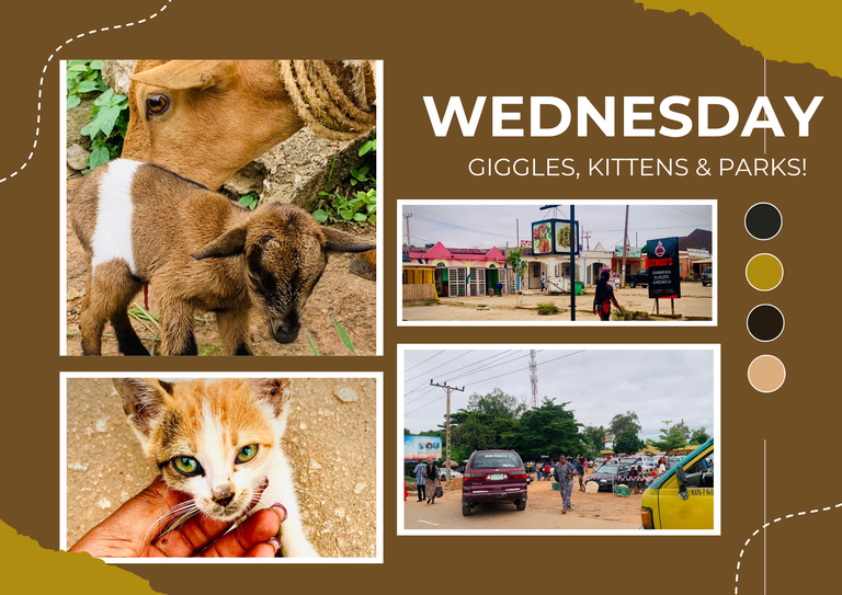 WEDNESDAY WALK - Giggles, Kittens & Parks!