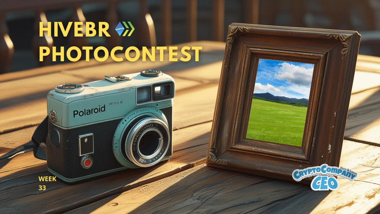 📸 HiveBR Photo Contest #33