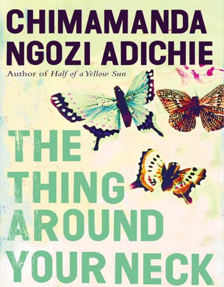 A Great Lesson from A Private Experience by Chimamanda Ngozi Adichie