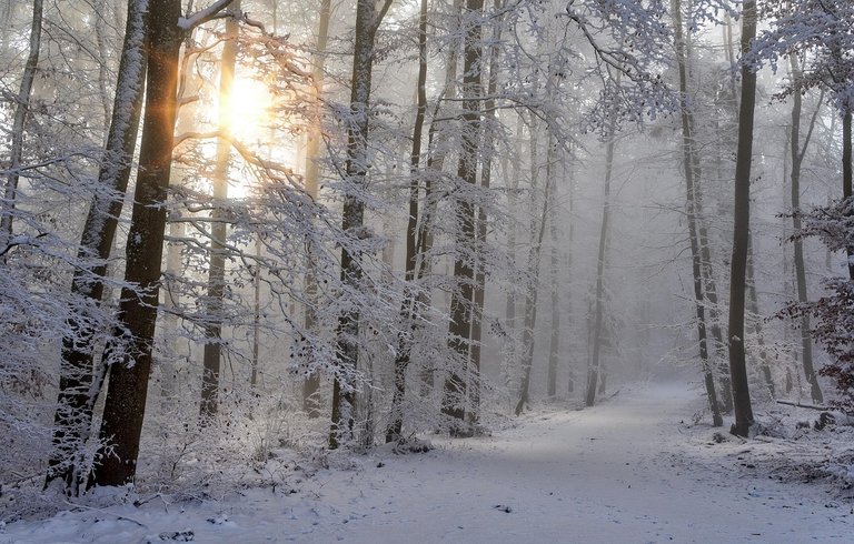 Ray of light 