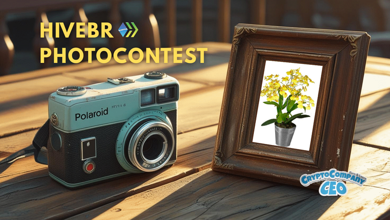 📸 HiveBR Photo Contest #38