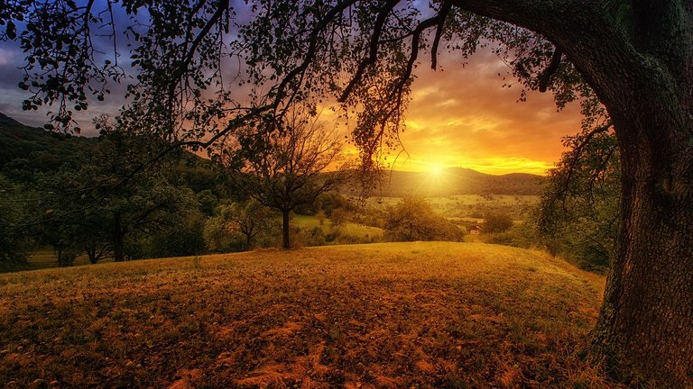 Sunlight 