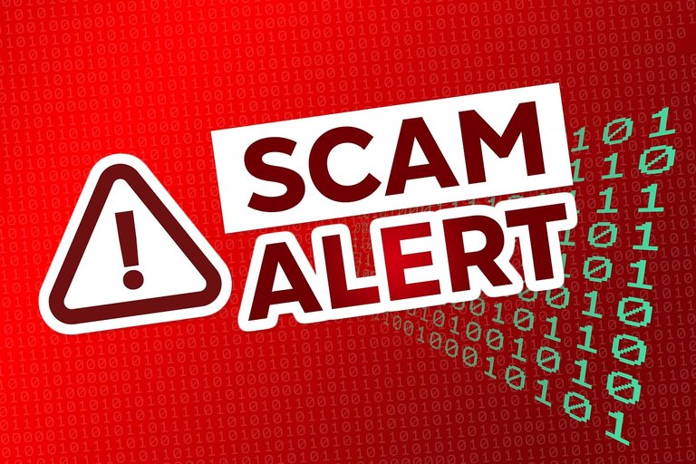 Scammed in Silence: A Painful Lesson on Trusting Strangers Online.