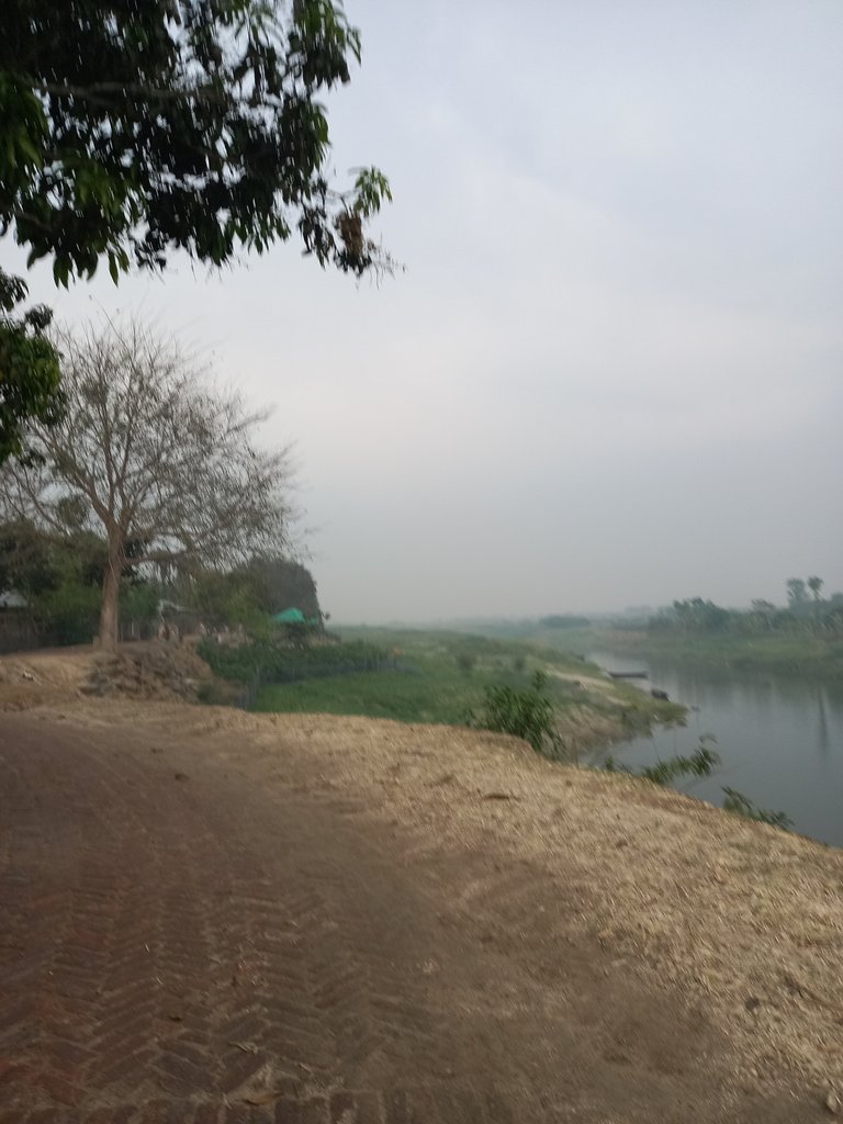 An afternoon by the river: Peace of mind in the touch of nature