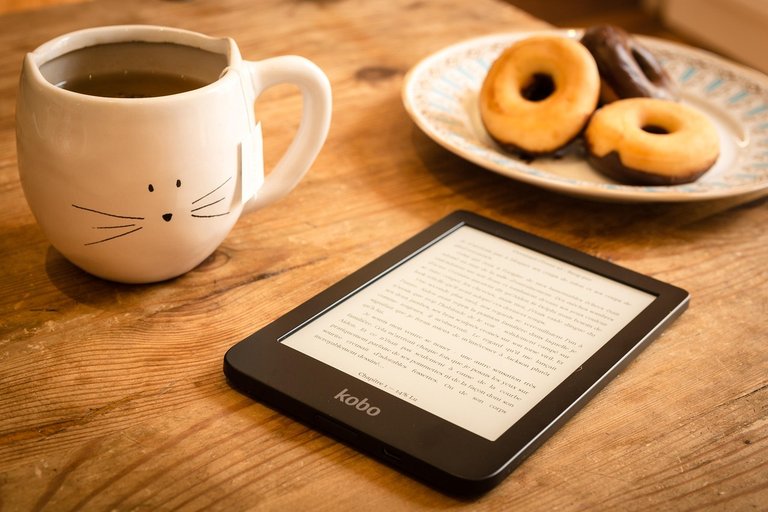 From Pages to Pixels: My Journey from Physical Books to E-Reading.