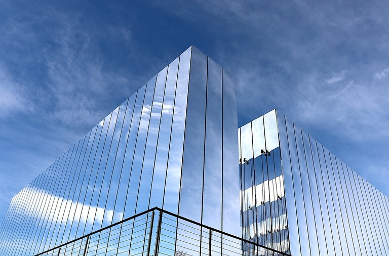 The mirror 
