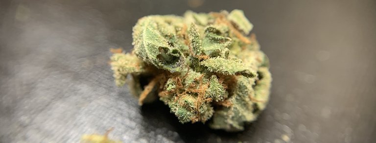 GirlScoutCookies-021.jpg