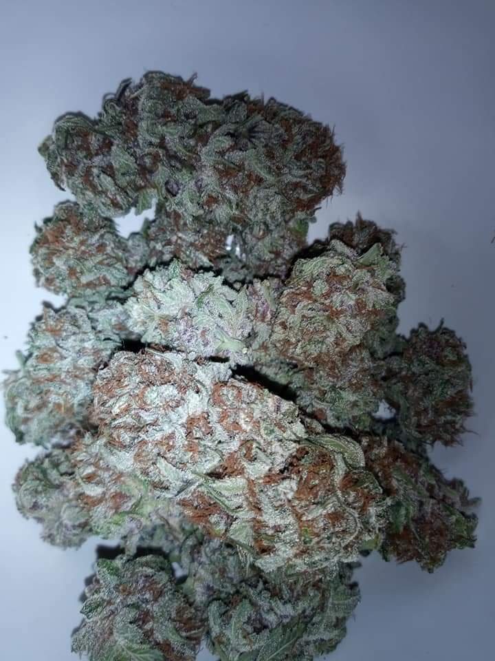 Grow image-20200229.jpg