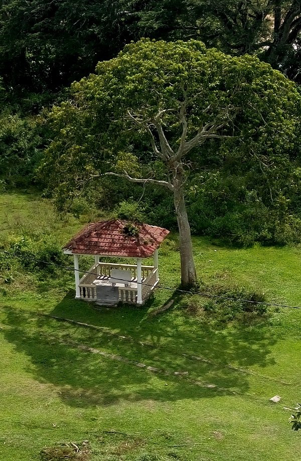 Looking down at the side lawn, a cool shelter for those strolling in the gardens