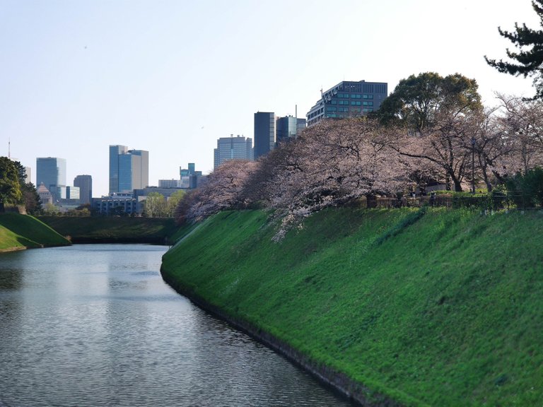 Chidorigafuchi