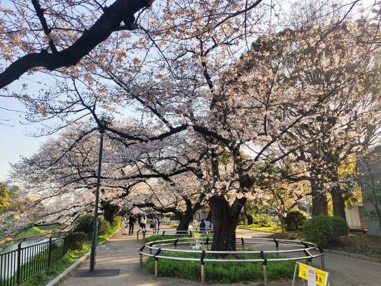 Chidorigafuchi