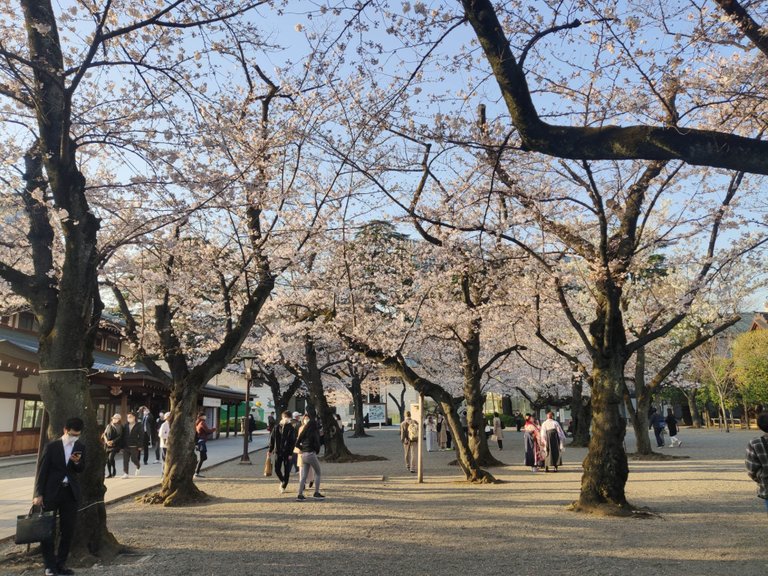 Yasukuni Jinja