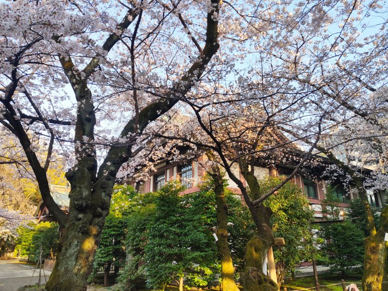 Yasukuni Jinja