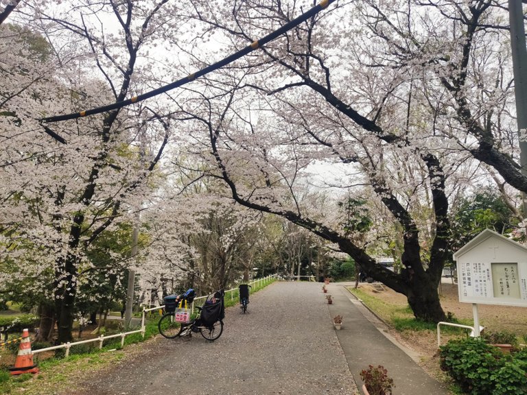 Chidorigafuchi