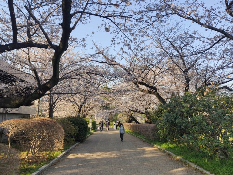 Chidorigafuchi