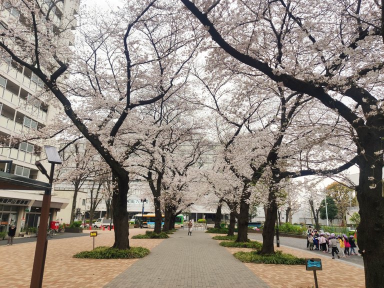 Yasukuni Jinja