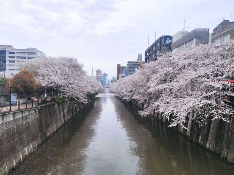 Naka-Meguro