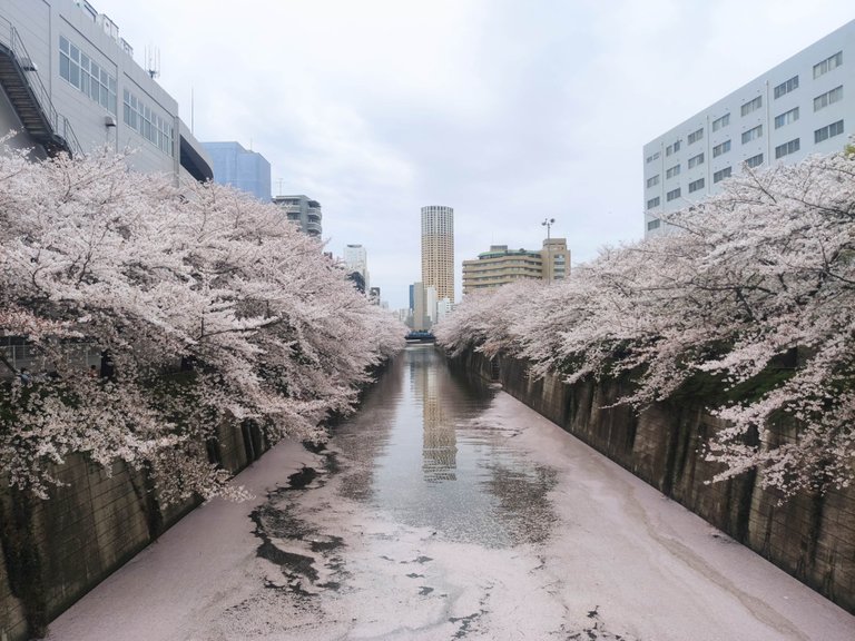 Naka-Meguro