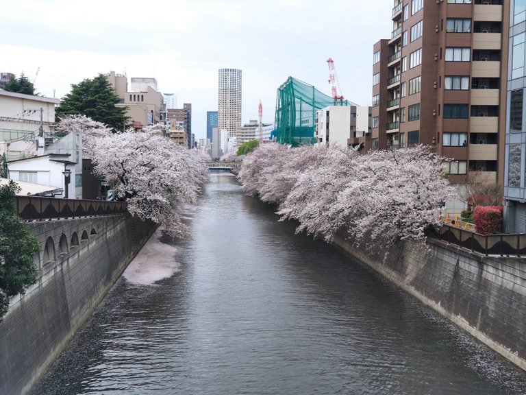 Naka-Meguro