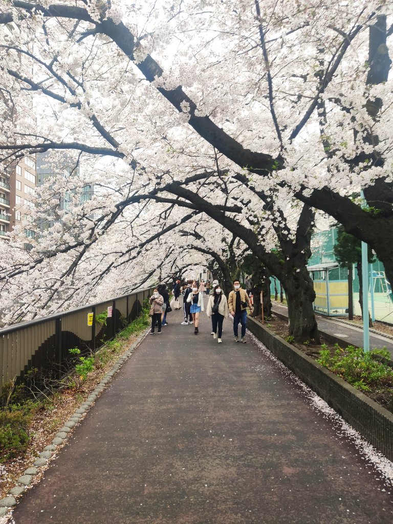 Naka-Meguro