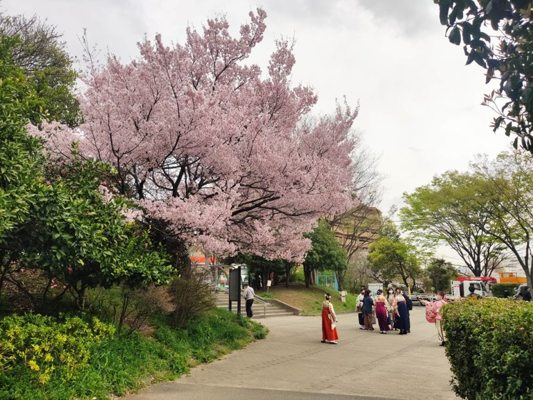 Toyama Park