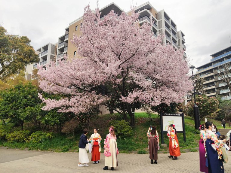 Toyama Park