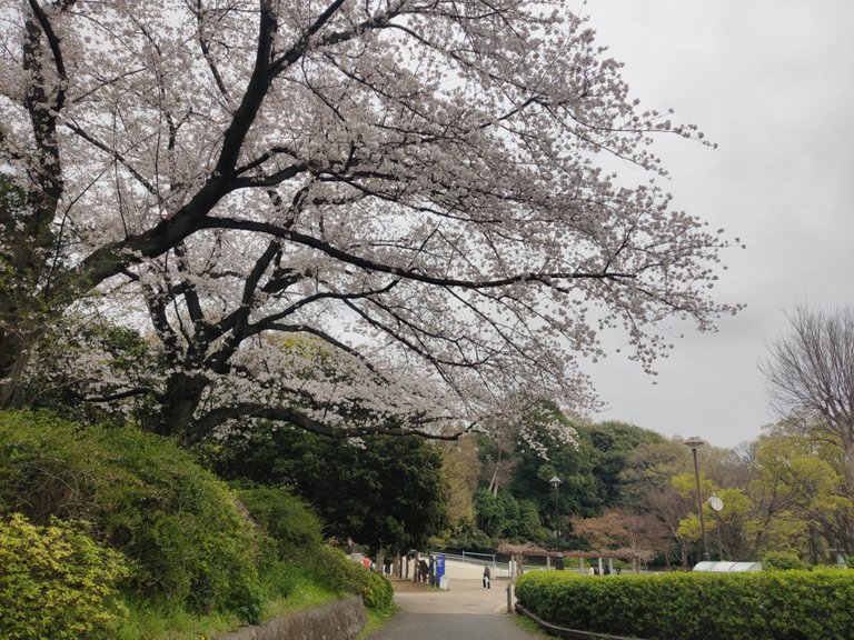 Toyama Park