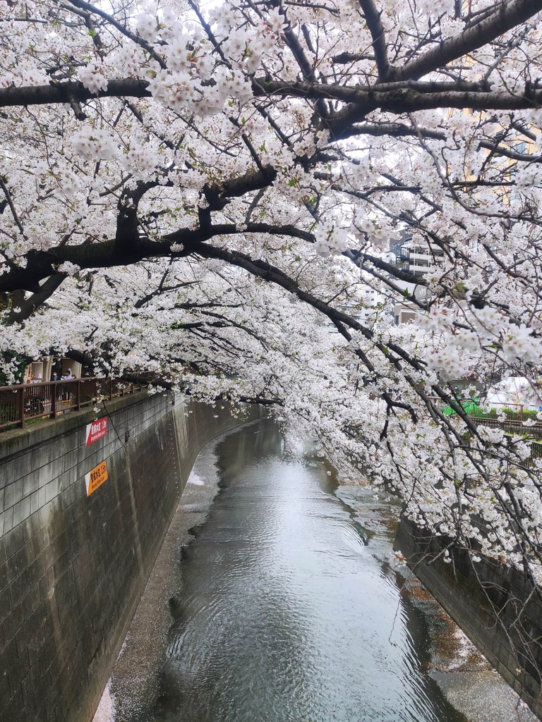 Naka-Meguro