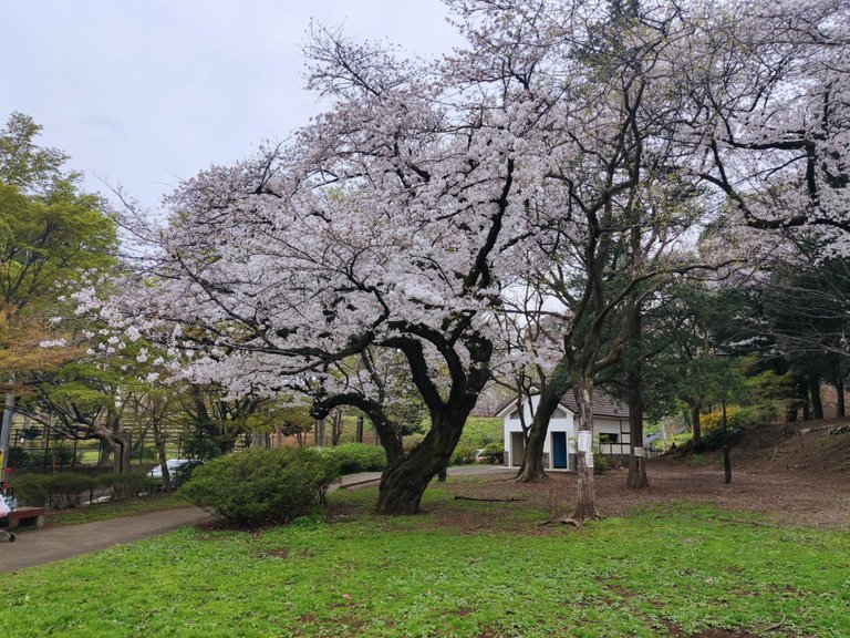 Toyama Park