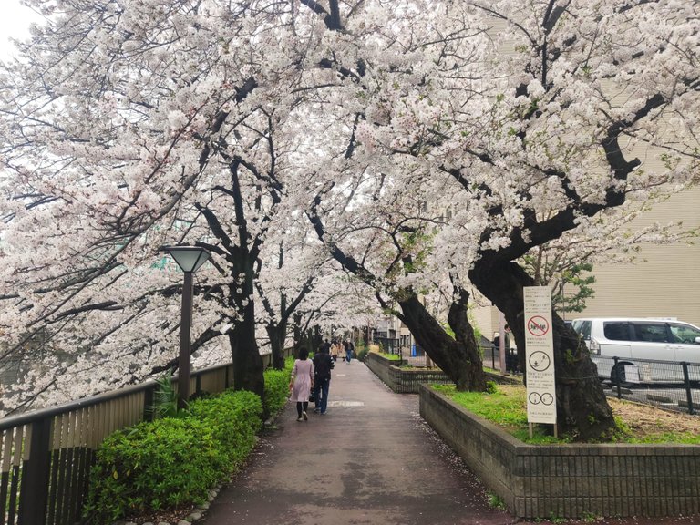 Naka-Meguro