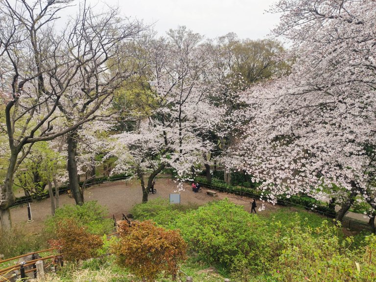 Toyama Park